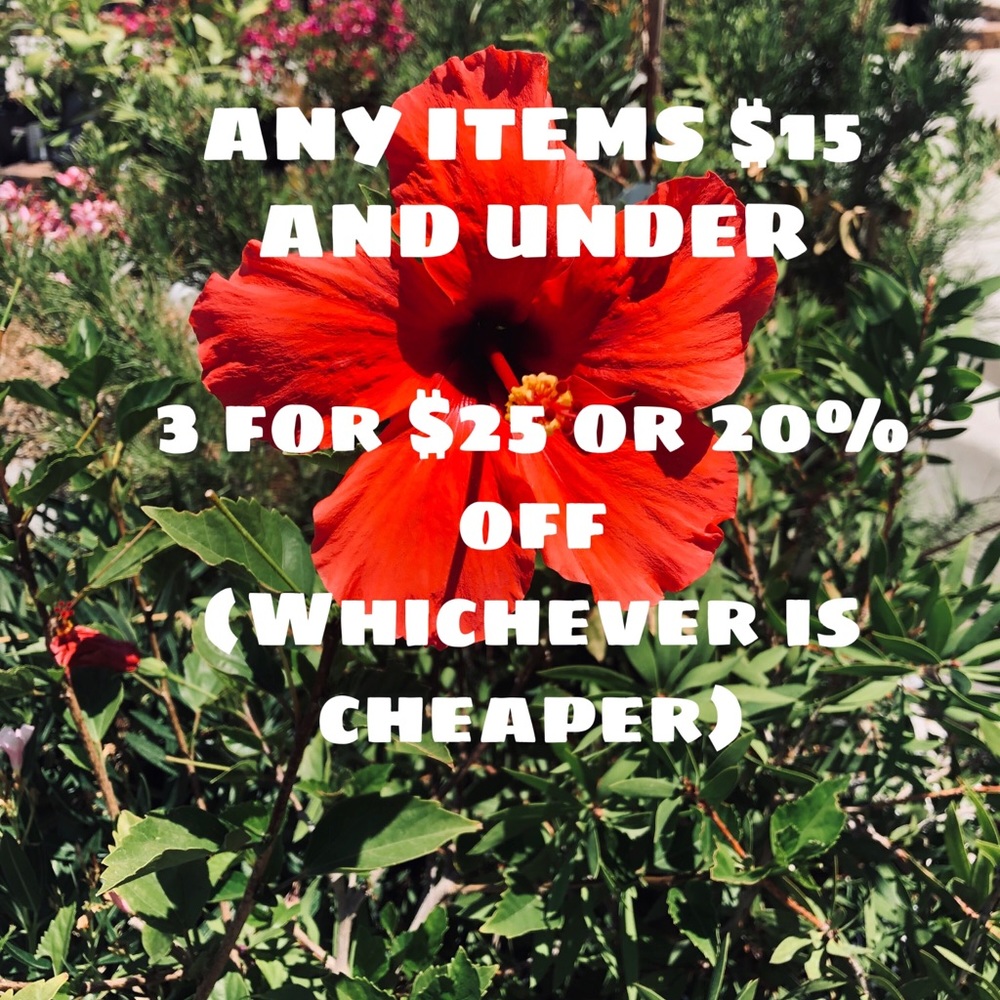 SALE: 3 for $25 or 20% off!!